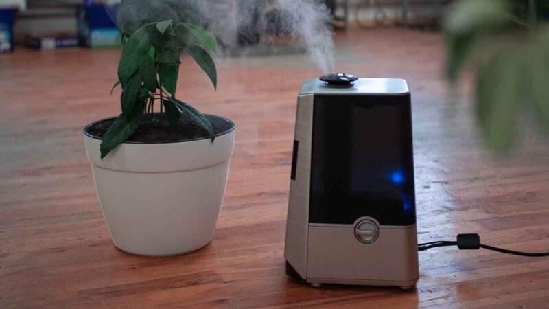Do Air Purifiers Waste A Lot Of Electricity How Much
