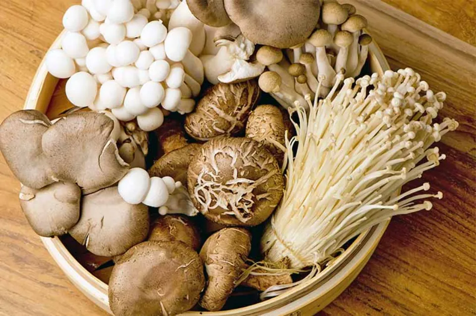 Mushroom Kits: All You Want to Know
